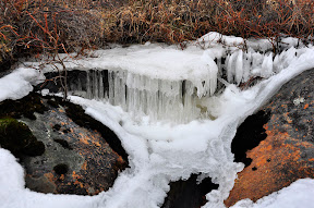 _DSC5028.JPG