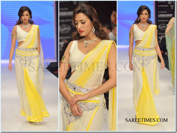 Jashn_IIJW_Saree (5)