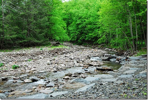 Woodland Valley River