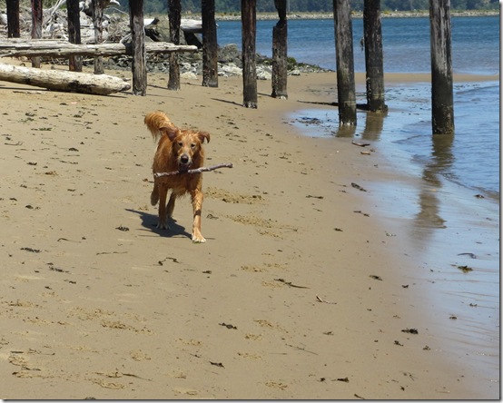 BeachStickWally BeachStickWally