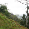 P5020406.JPG