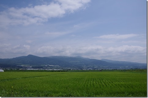IMGP6559 IMGP6559