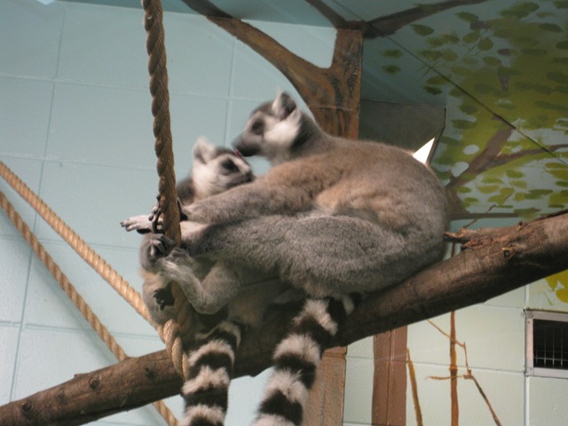 [IMG_66412.jpg]