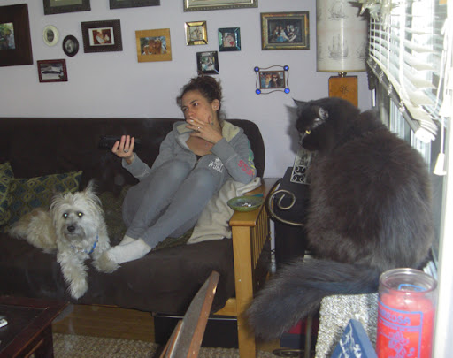 also your animals need you