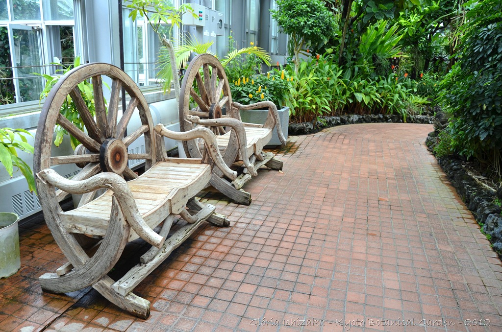 [Gl%25C3%25B3ria%2520Ishizaka%2520-%2520%2520%2520Kyoto%2520Botanical%2520Garden%25202012%2520-%252014%255B3%255D.jpg]