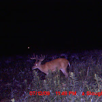 MDGC0022.JPG