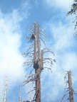 DSCI0049.JPG