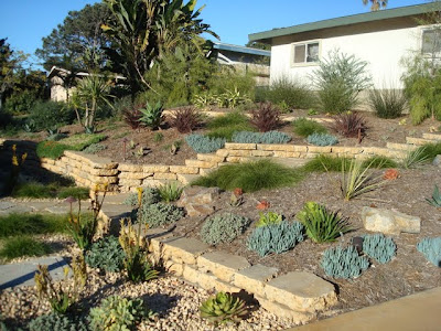 Five months after installation plants are starting to fill in