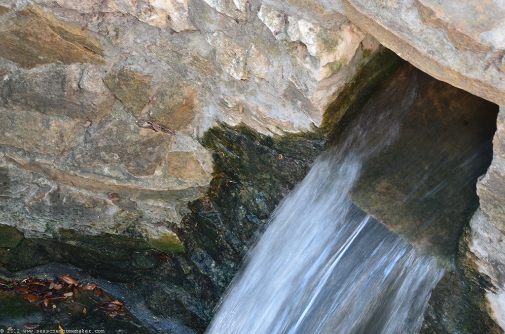 [DSC_37674.jpg]