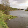 dsc07017.jpg