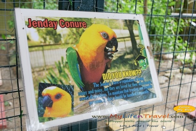 Langkawi Wildlife Park Langkawi Wildlife Park