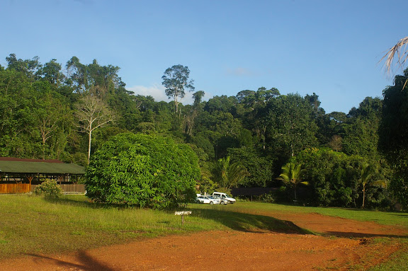 Camp Patawa, Montagne de Kaw (Guyane). 16 novembre 2011. Photo : J.-M. Gayman