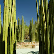 Ethnobotanical Garden, Oaxaca