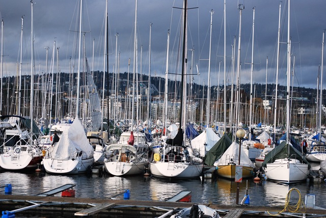 [2011-10-30%2520Marina%2520Oct%252030-2011%2520Oslo%255B3%255D.jpg]