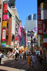 IMG_1029.JPG