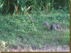 IMG_2720 IMG_2720