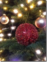 IMG_0135 IMG_0135