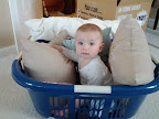 IMG_20120429_152455.jpg