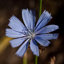 P9057887
