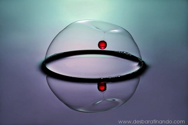 liquid-drop-art-gotas-caindo-foto-velocidade-hora-certa-desbaratinando (135) liquid-drop-art-gotas-caindo-foto-velocidade-hora-certa-desbaratinando (135)