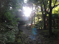 DSC00494.JPG Photo