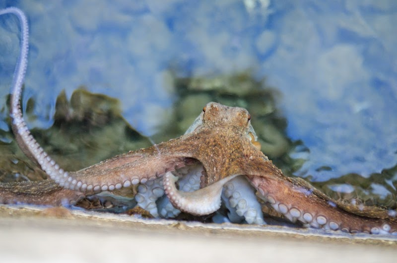 [A%2520day%2520in%2520Nice-107%255B3%255D.jpg]