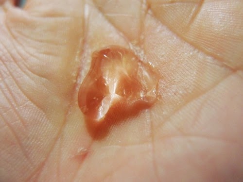 [Domohorn-4%255B3%255D.jpg]