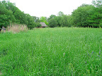 The Hill Country meadow, looking over toward the Schumacher house, an original residence moved to the garden.