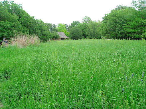 The Hill Country meadow, looking over toward the Schumacher house, an original residence moved to the garden.