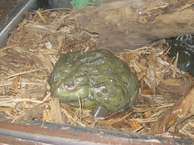 [IMG_16562.jpg]