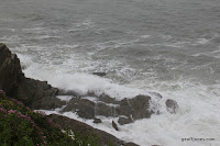IMG_9337.JPG Photo