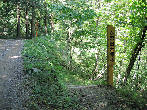 赤沼田天保林入口
