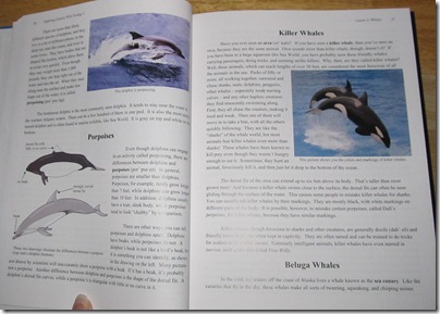 Apologia Zoo 2:  Swimming Creatures Homeschool Review http://homeschoolheartandmind.blogspot.com