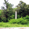 20060819_22_kenting_039.jpg