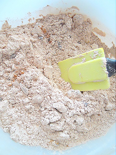 DSCN9305 DSCN9305