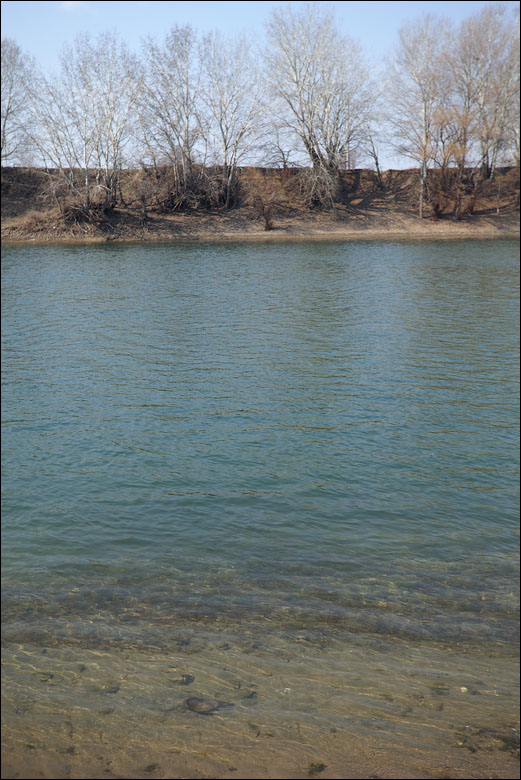 IMG_8757.jpg