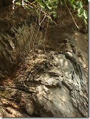 IMGA0338 IMGA0338