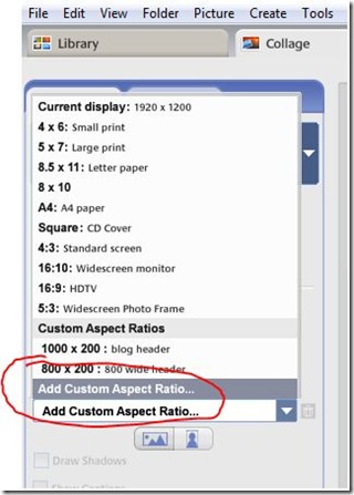 picasa add custom aspect ratio