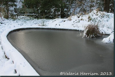 9-frozen-pond
