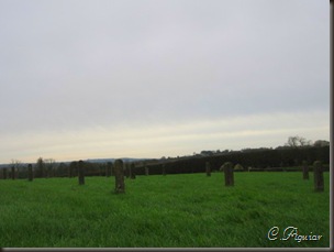 IMG_2305 IMG_2305