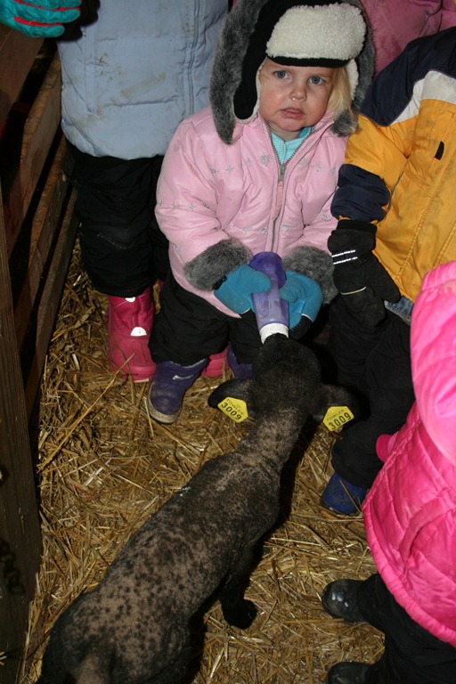 [Falkena%2527s%2520on%2520the%2520farm%2520007%255B3%255D.jpg]