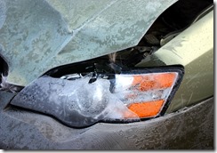 deer collision 03