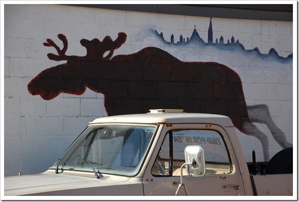 moose truck