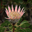 IMG_9784N2.JPG