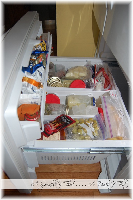 [Bottom%2520Freezer%2520Before%2520%257BA%2520Sprinkle%2520of%2520This%2520.%2520.%2520.%2520.%2520A%2520Dash%2520of%2520That%257D%255B4%255D.jpg]