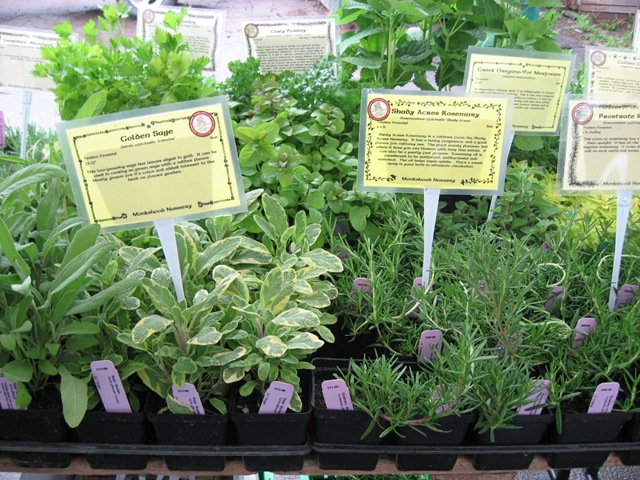 [monkshood%2520herbs%255B4%255D.jpg]