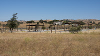 DSC02882.jpg
