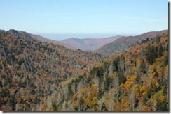DSC_0025 DSC_0025