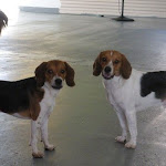 DSCN2534.jpg