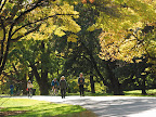 Sprachaufenthalt Boston